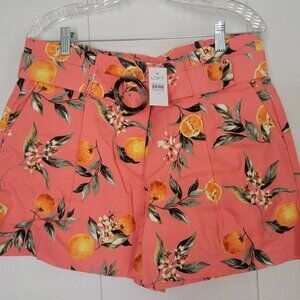Women's Loft shorts, size 10.